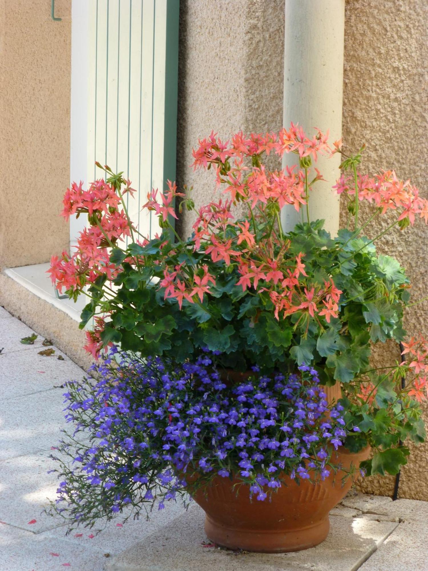 Le Relais Des Malettes Chambres D'Hotes B&B Francheville  Екстер'єр фото