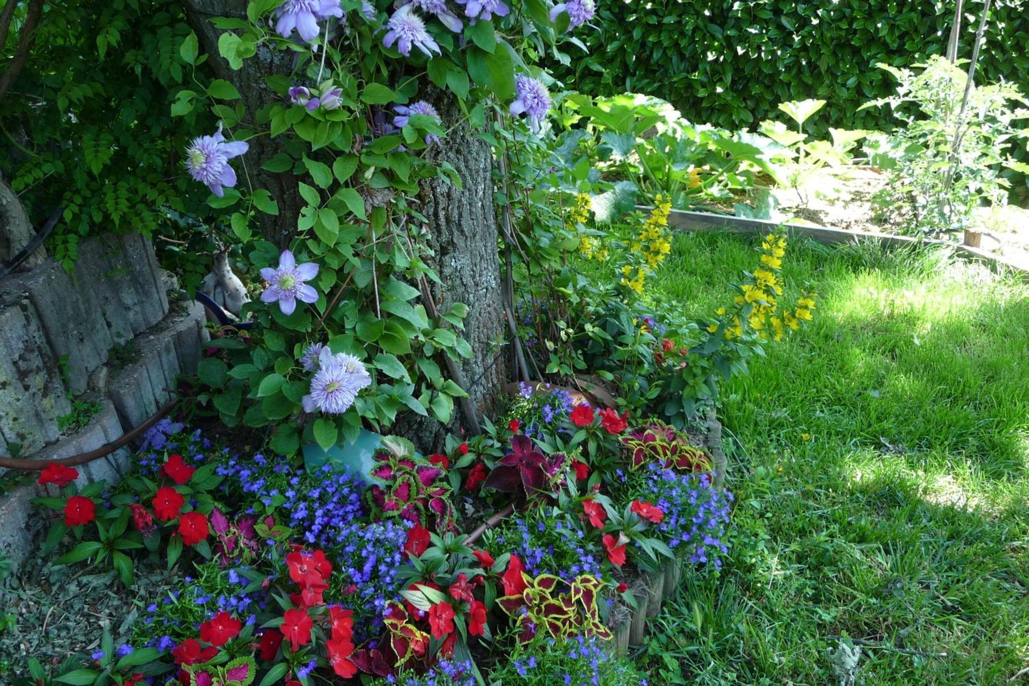 Le Relais Des Malettes Chambres D'Hotes B&B Francheville  Екстер'єр фото